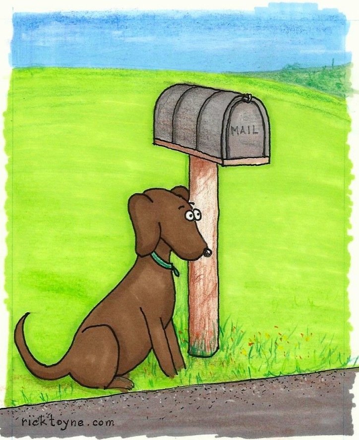 Finny at Mailbox, contact, ricktoyne.com